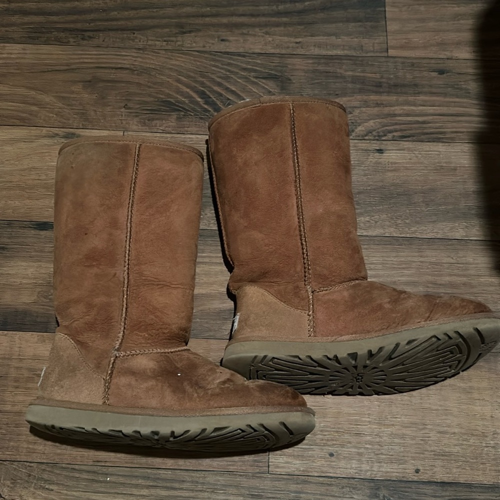 Ugg Tall Chestnut Boots